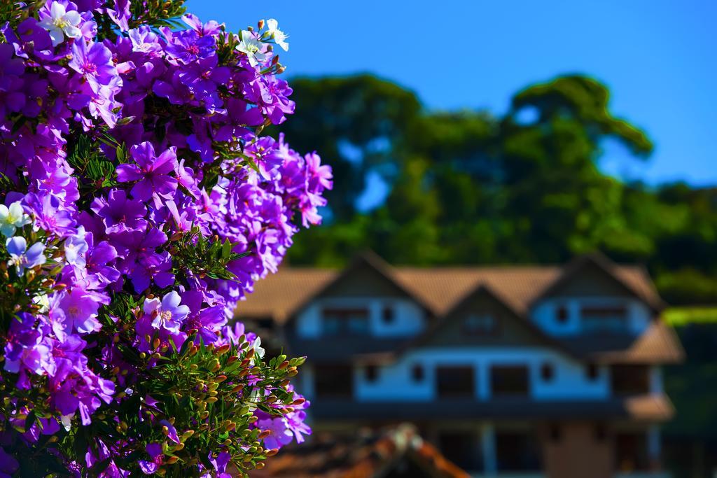 Pousada Dos Pinhos Hotel Педра Азул Екстериор снимка